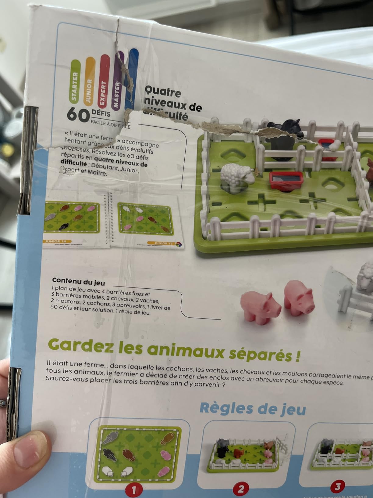 Parfait