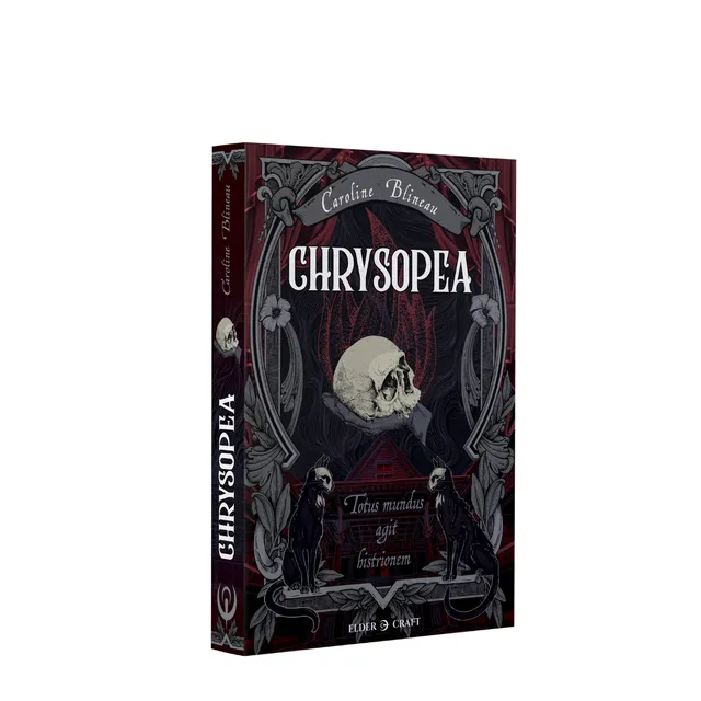 elder-craft-romans-chrysopea-roman-broch-fantasy-londres image 1