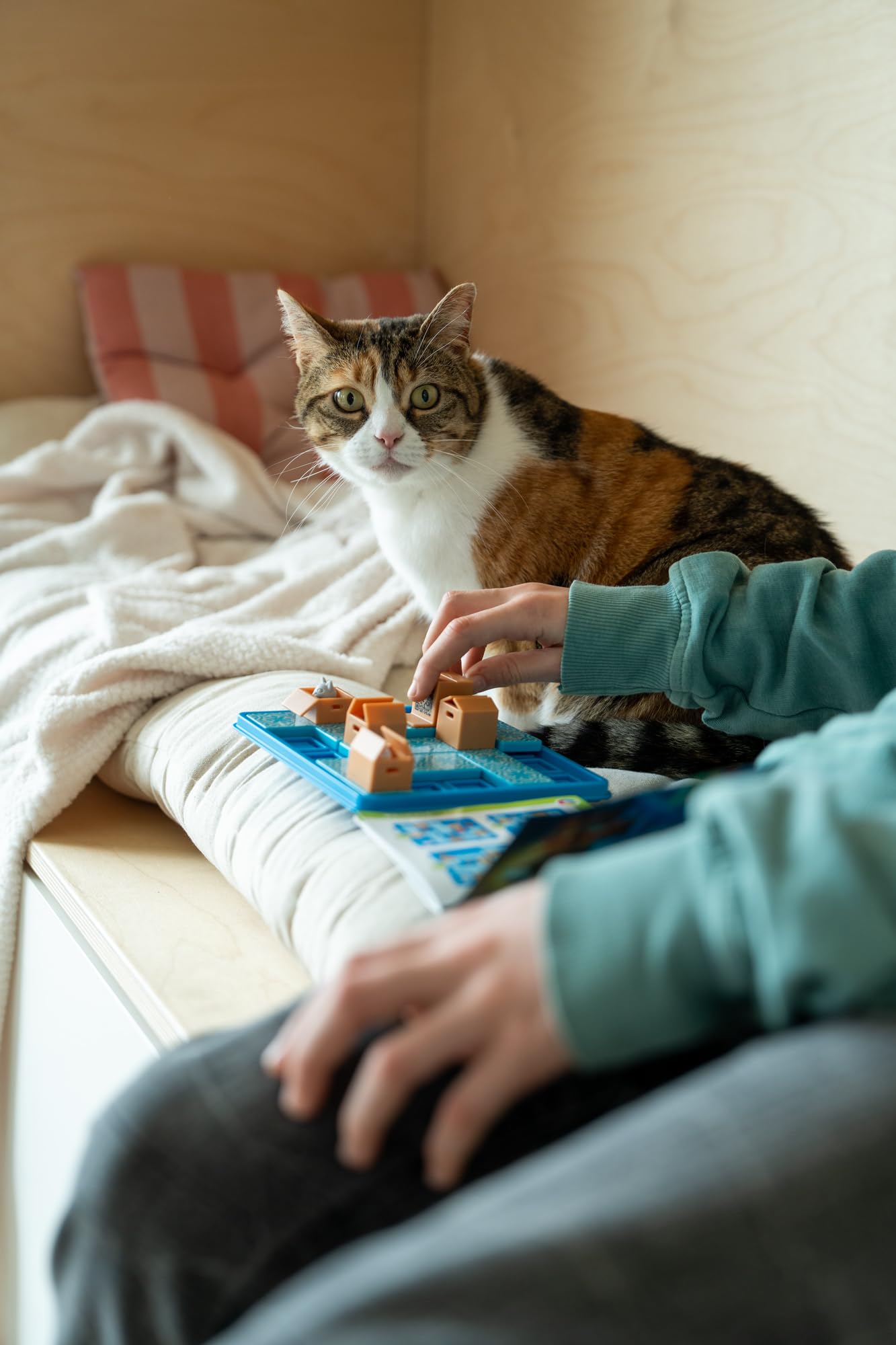 smartgames-chats-tournent-en-rond-puzzle-chat-60-d-fis-7-ans image 6