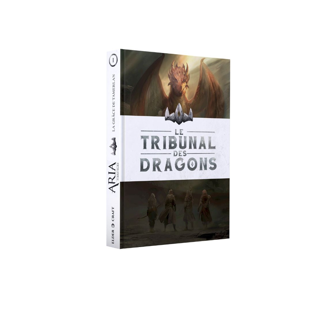 elder-craft-aria-tribunal-des-dragons-coffret-collector-jdr image 3